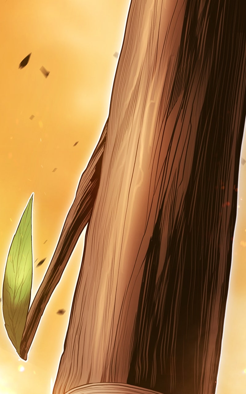Read +99 Reinforced Wooden Stick Manga Online
