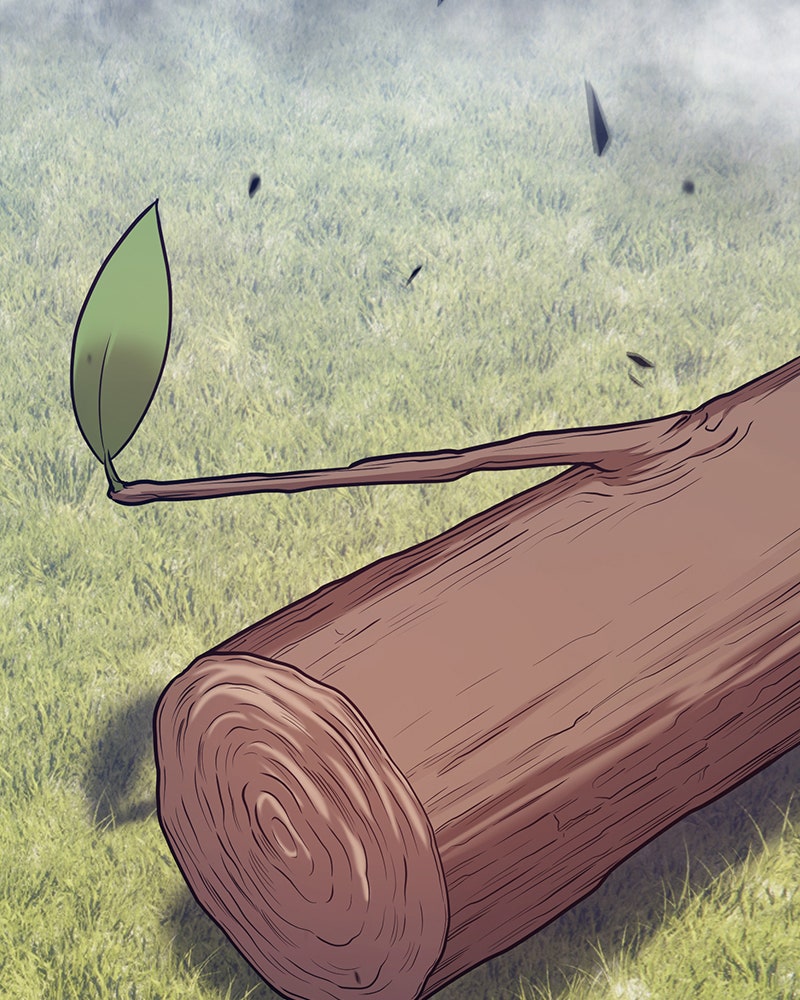Read +99 Reinforced Wooden Stick Manga Online