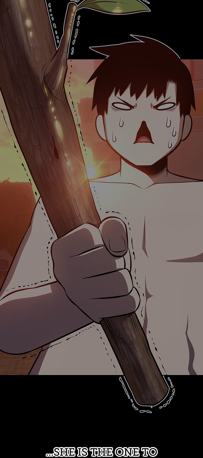 Read +99 Reinforced Wooden Stick Manga Online