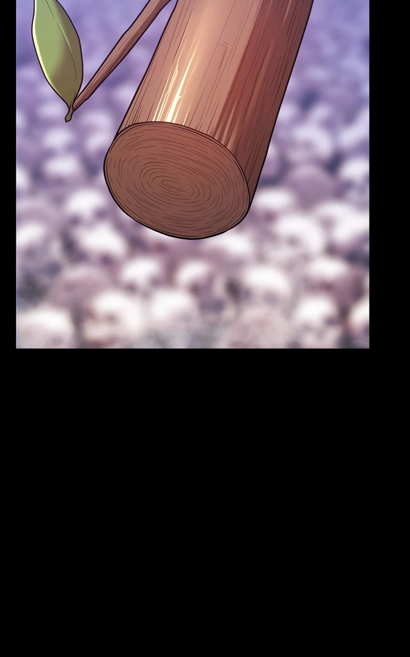 Read +99 Reinforced Wooden Stick Manga Online
