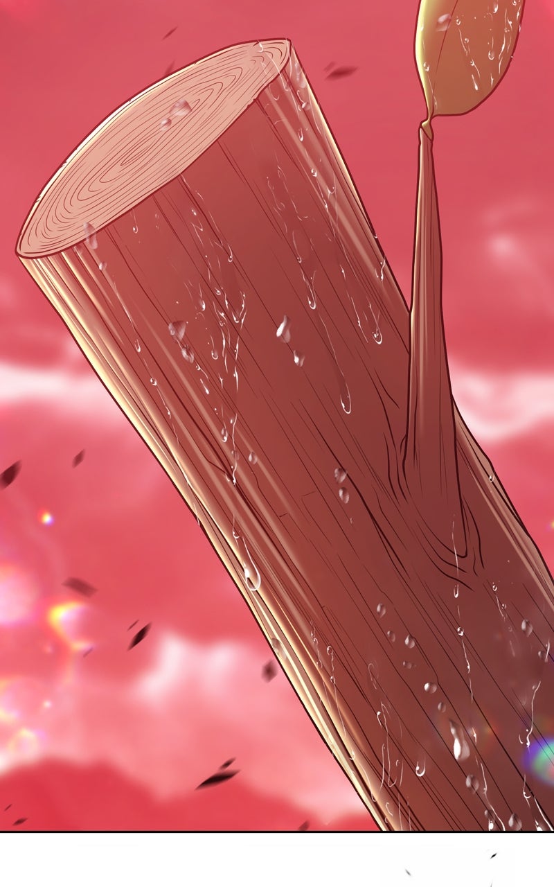 Read +99 Reinforced Wooden Stick Manga Online