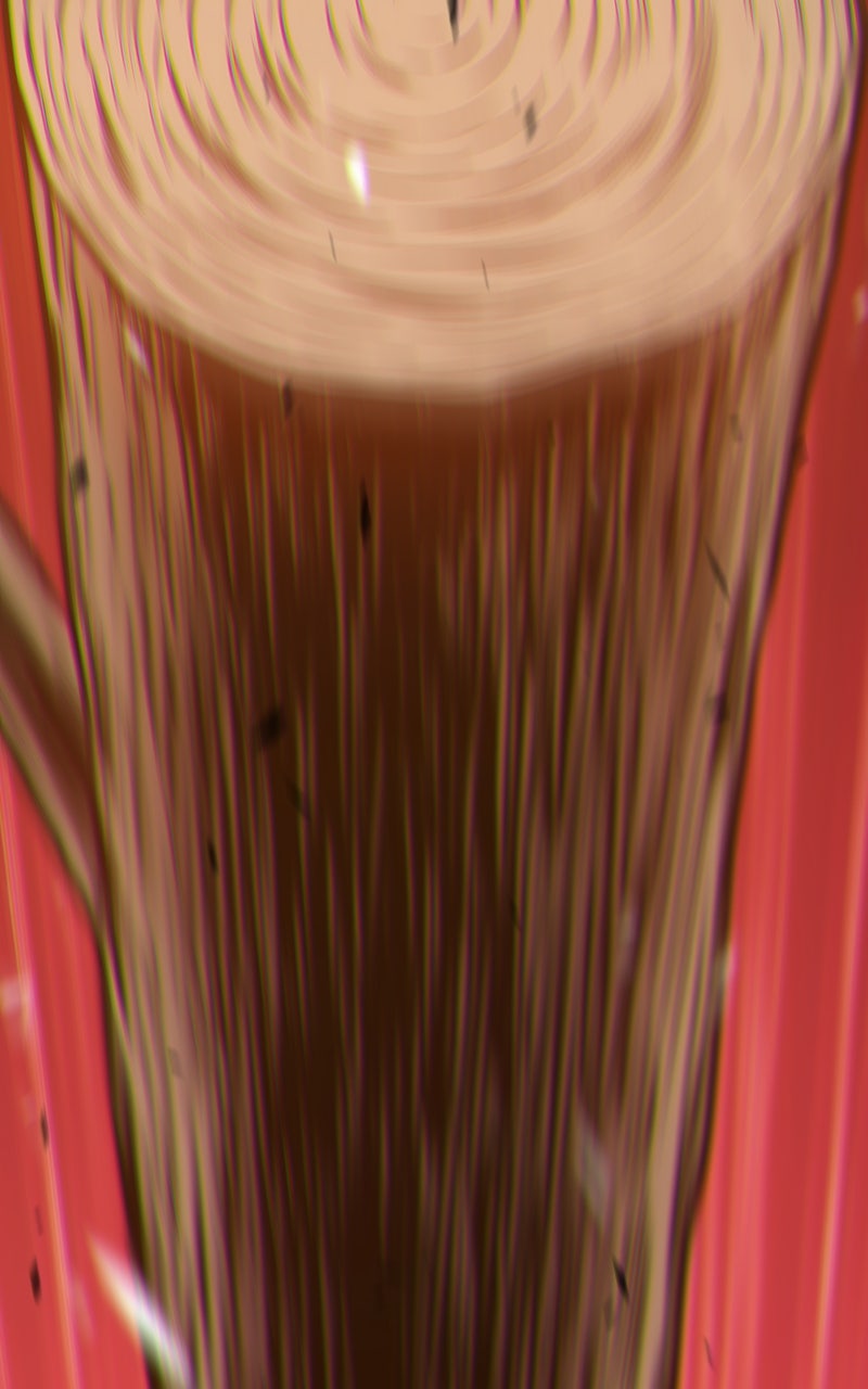 Read +99 Reinforced Wooden Stick Manga Online