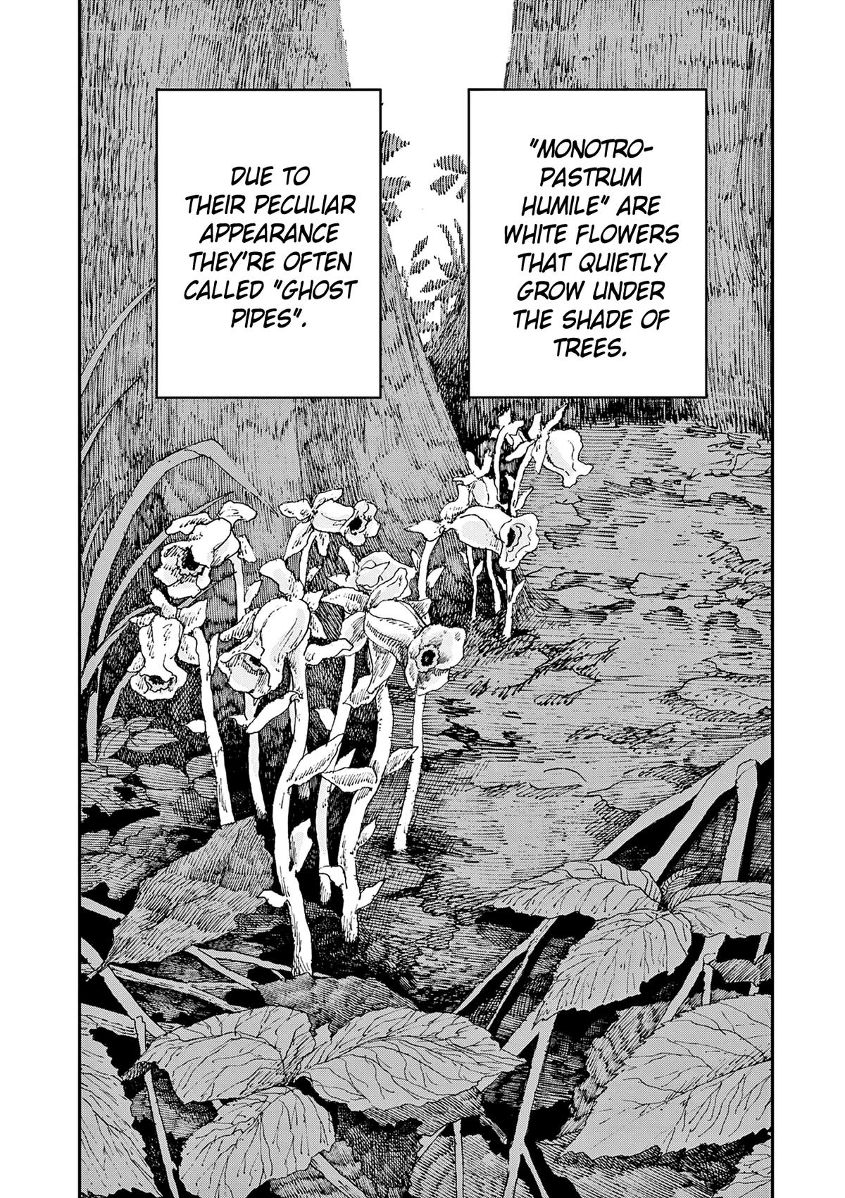 Read 100 Ghost Stories That Will Lead to My Own Death Manga Online