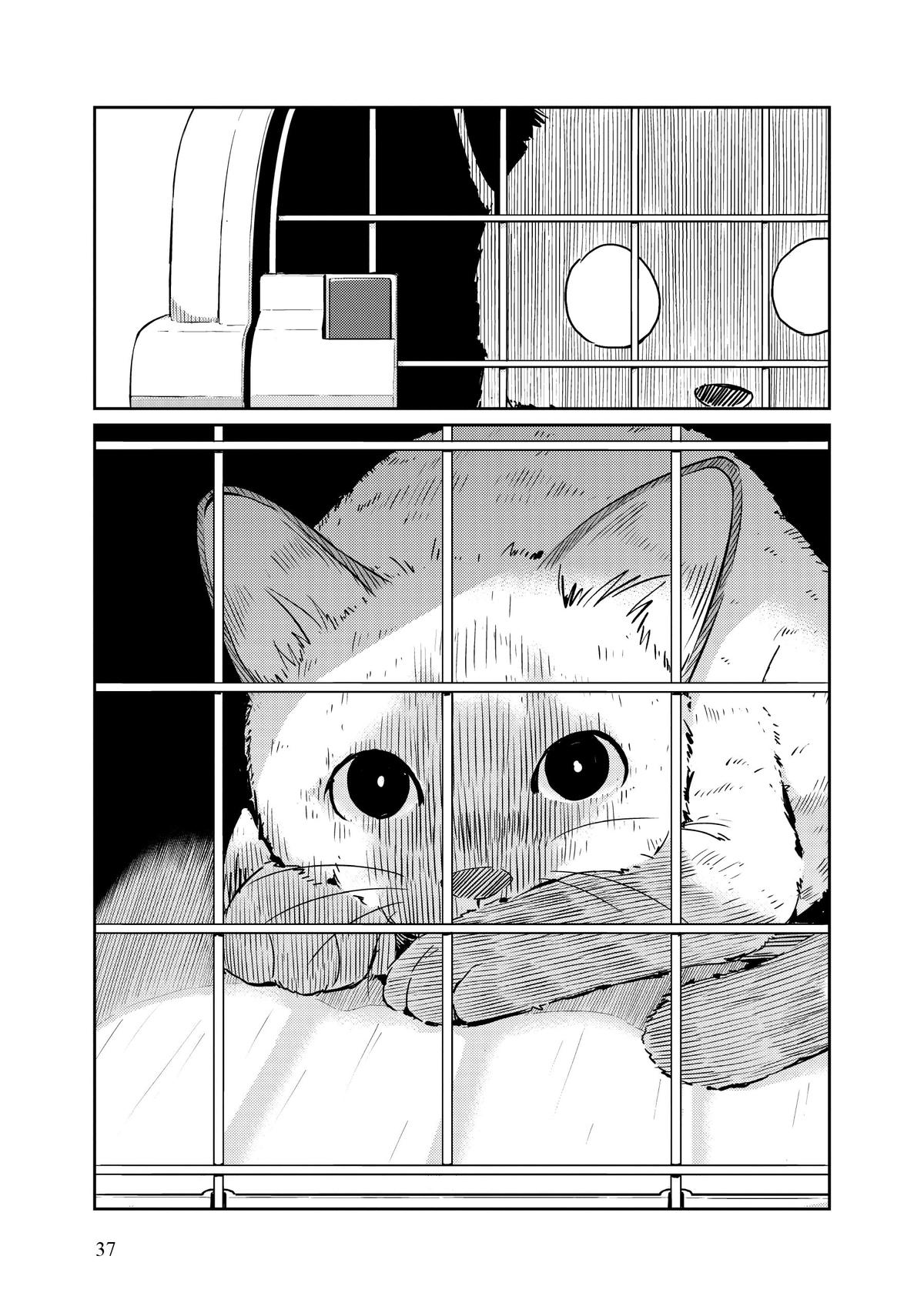 Read 365 Days to the Wedding Manga Online