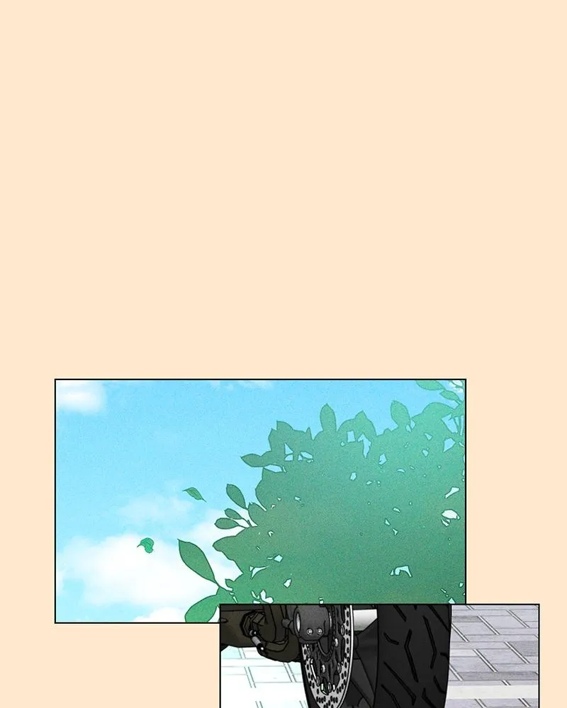Read A Delinquent’s First Love Manga Online