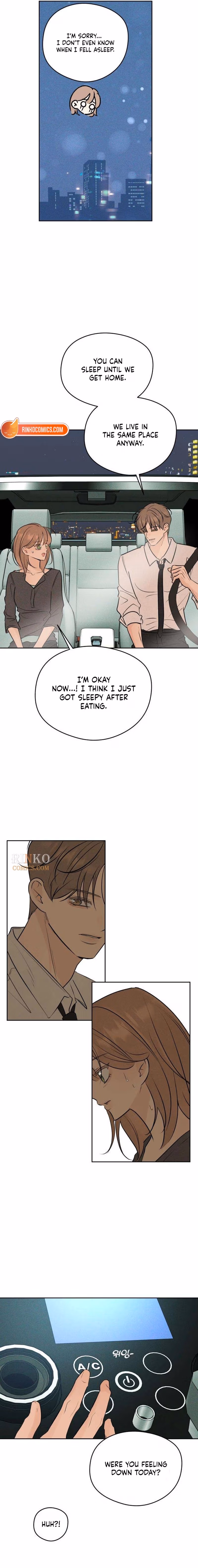 Read A Delinquent’s First Love Manga Online