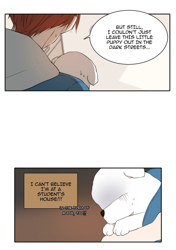 Read A Good Day to be a Dog Manga Online