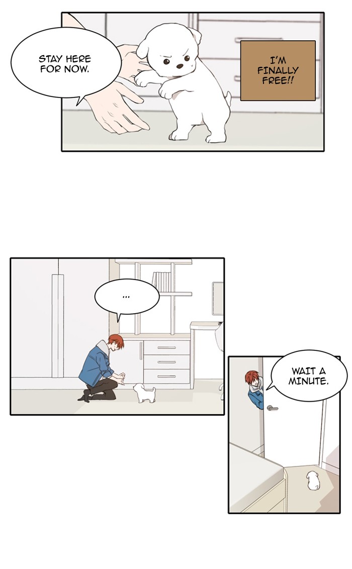 Read A Good Day to be a Dog Manga Online