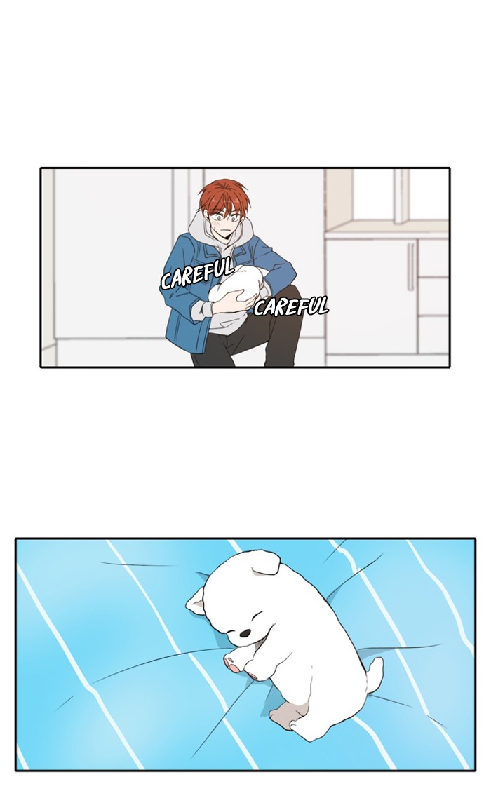 Read A Good Day to be a Dog Manga Online