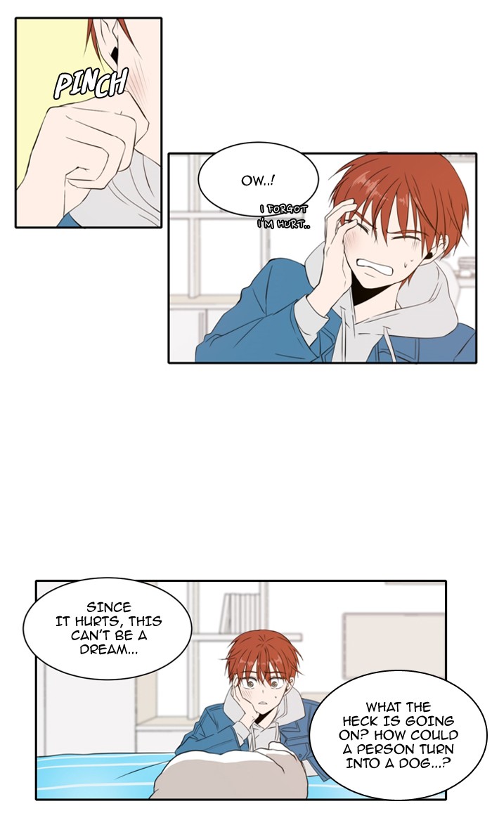 Read A Good Day to be a Dog Manga Online