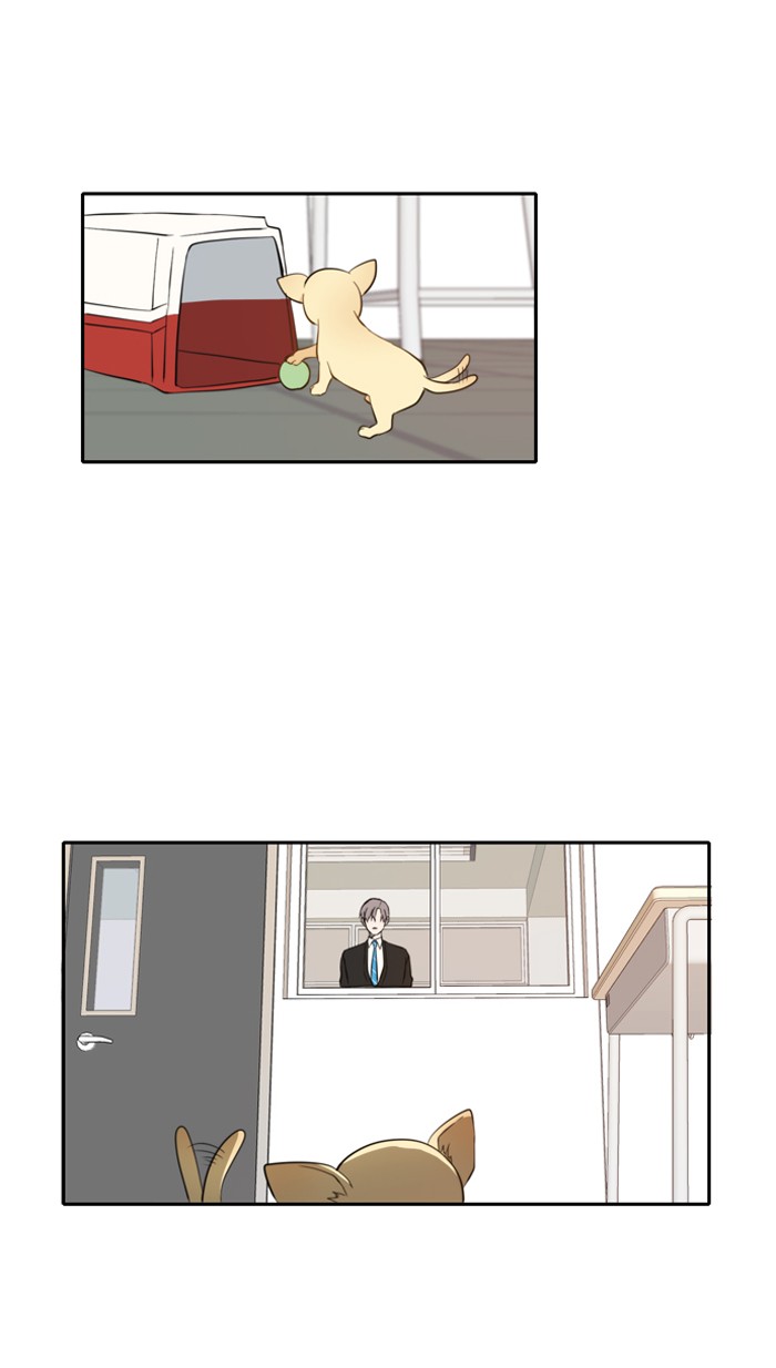 Read A Good Day to be a Dog Manga Online