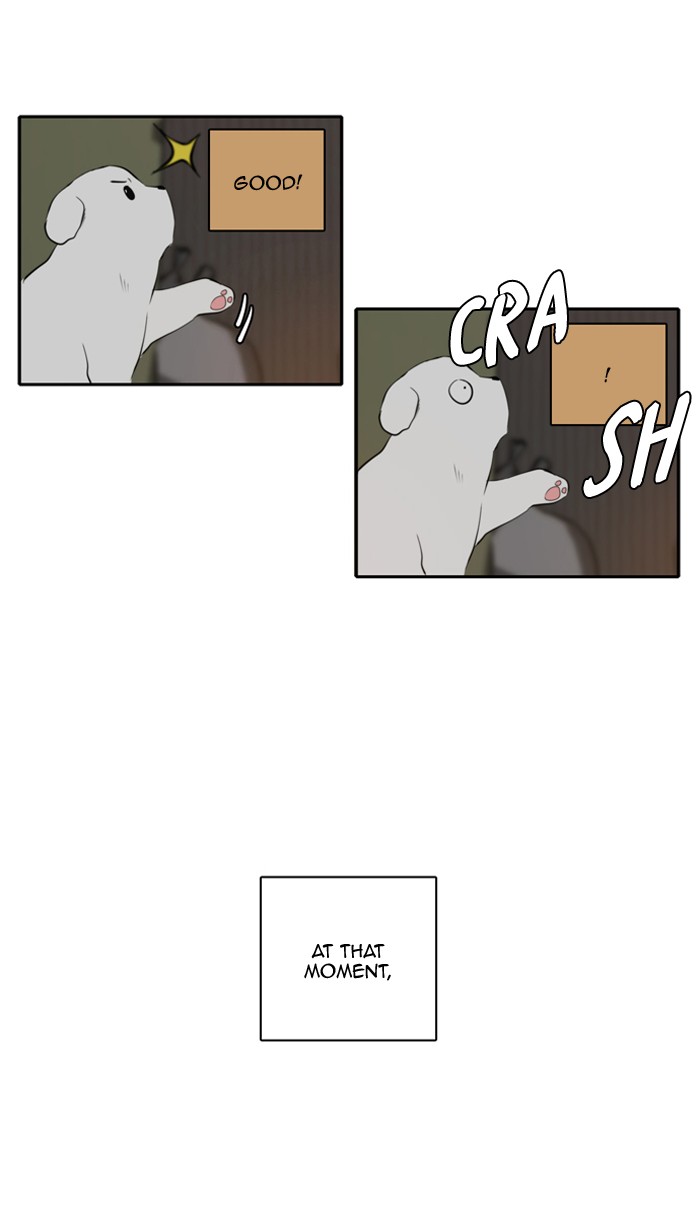 Read A Good Day to be a Dog Manga Online