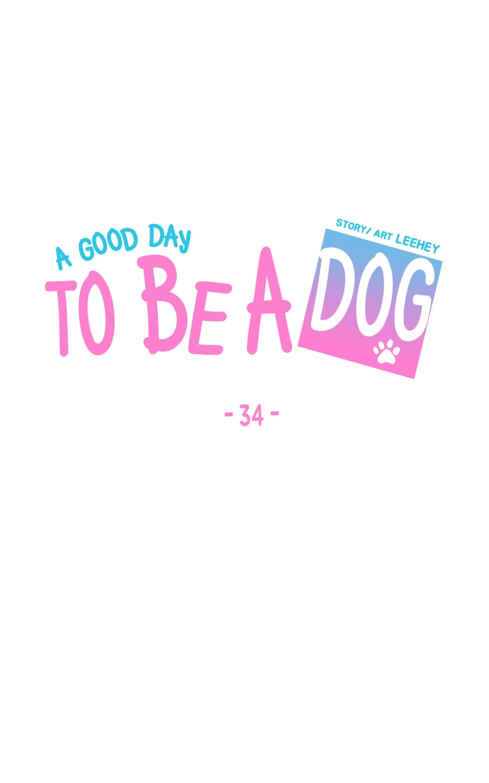 Read A Good Day to be a Dog Manga Online