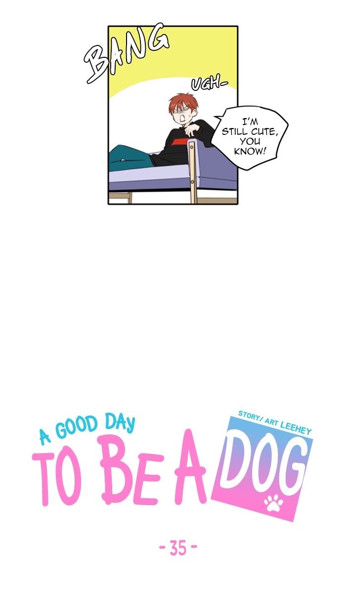 Read A Good Day to be a Dog Manga Online