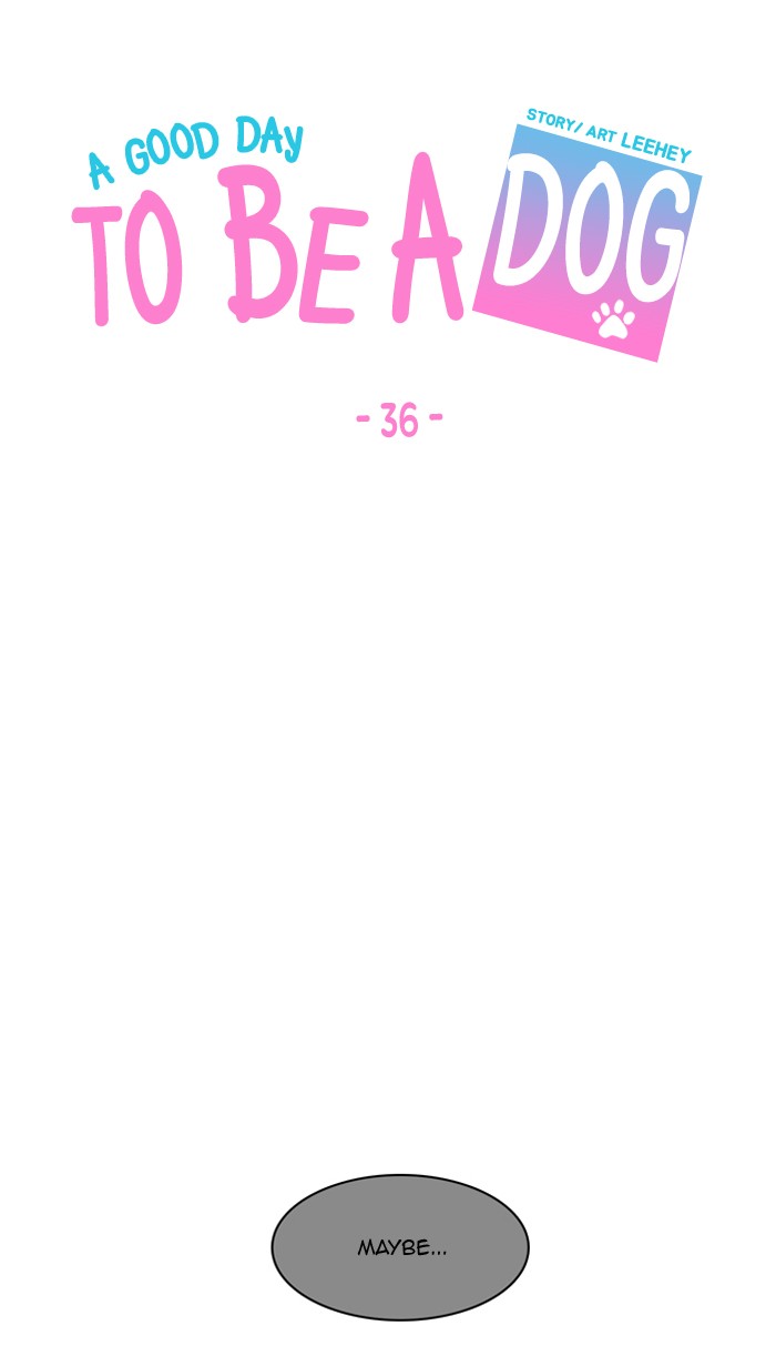 Read A Good Day to be a Dog Manga Online
