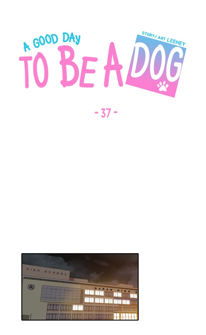 Read A Good Day to be a Dog Manga Online