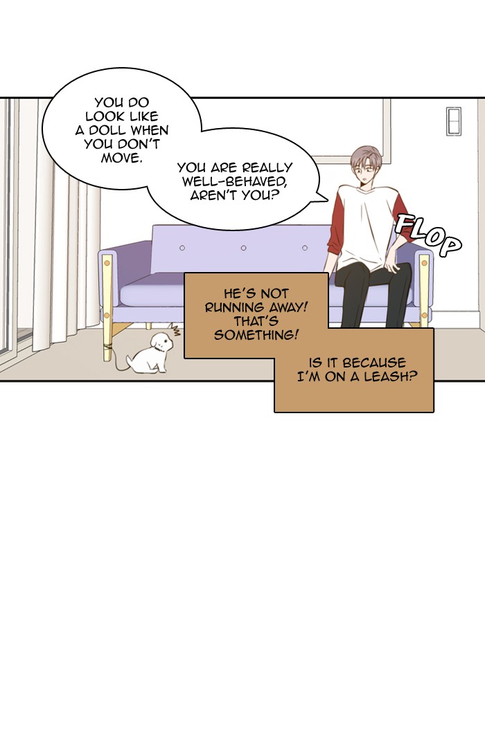 Read A Good Day to be a Dog Manga Online