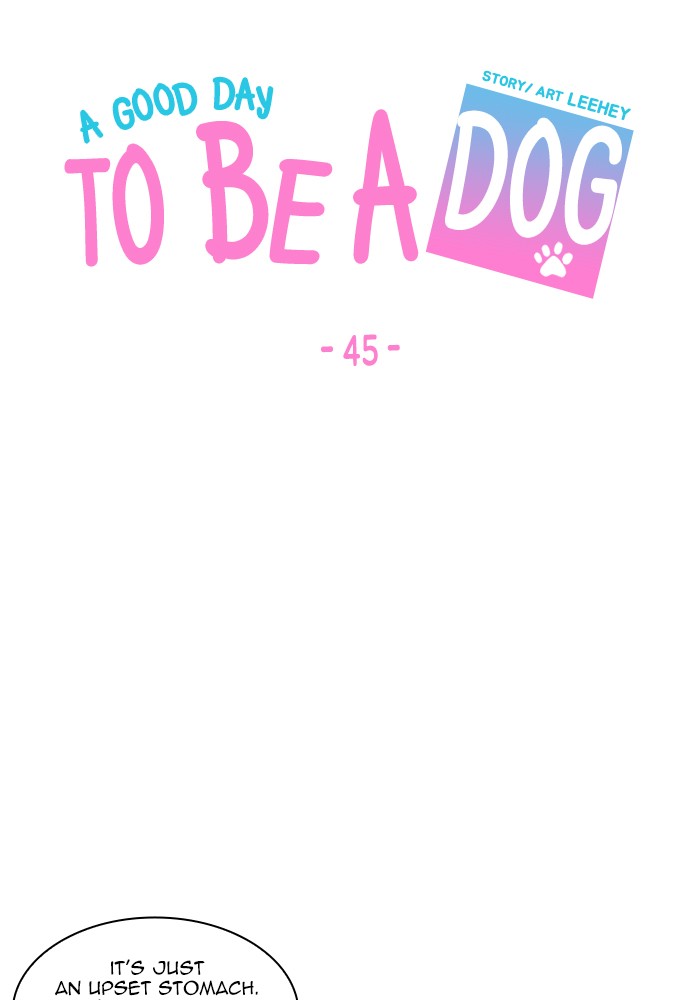 Read A Good Day to be a Dog Manga Online