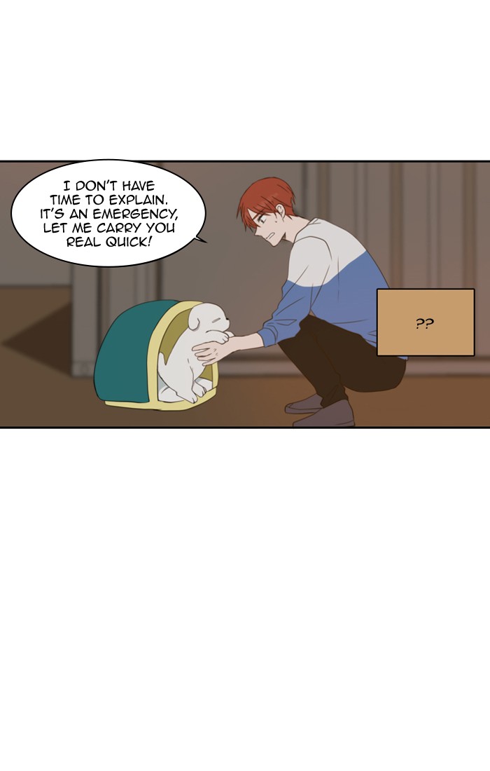 Read A Good Day to be a Dog Manga Online