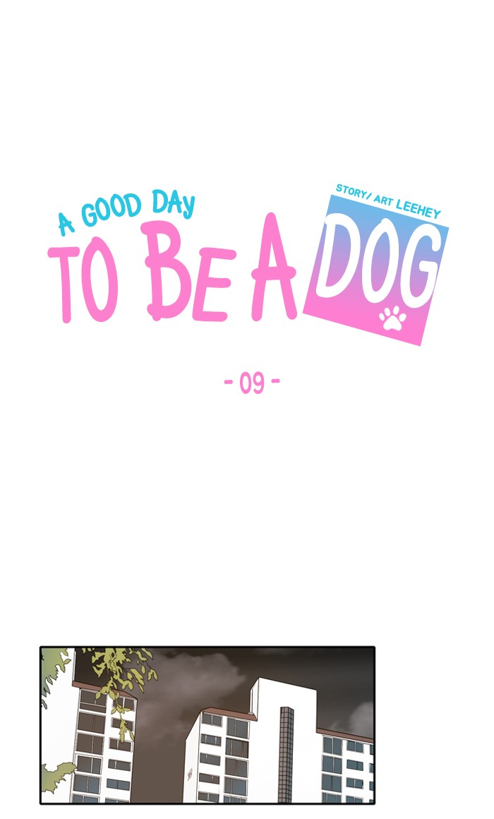 Read A Good Day to be a Dog Manga Online