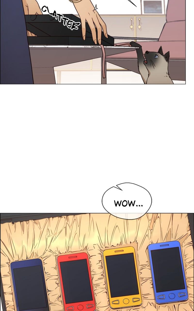 Read A Man's Man Manga Online