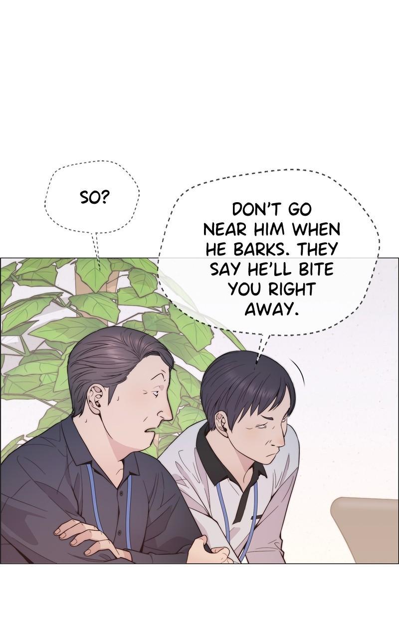Read A Man's Man Manga Online