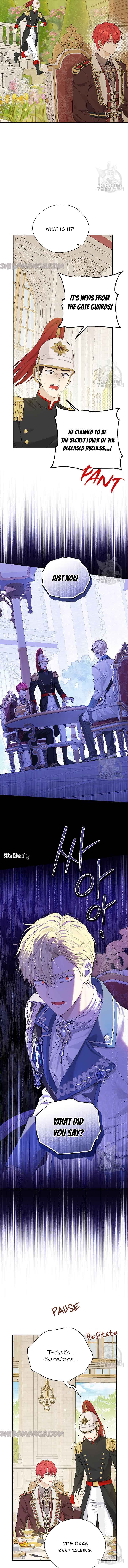 Read Actually I Was the Real One Manga Online