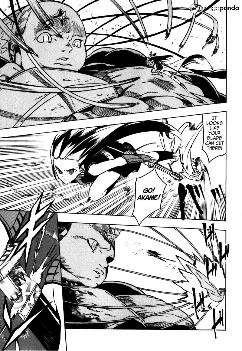 Read Akame Ga Kill! Manga Online