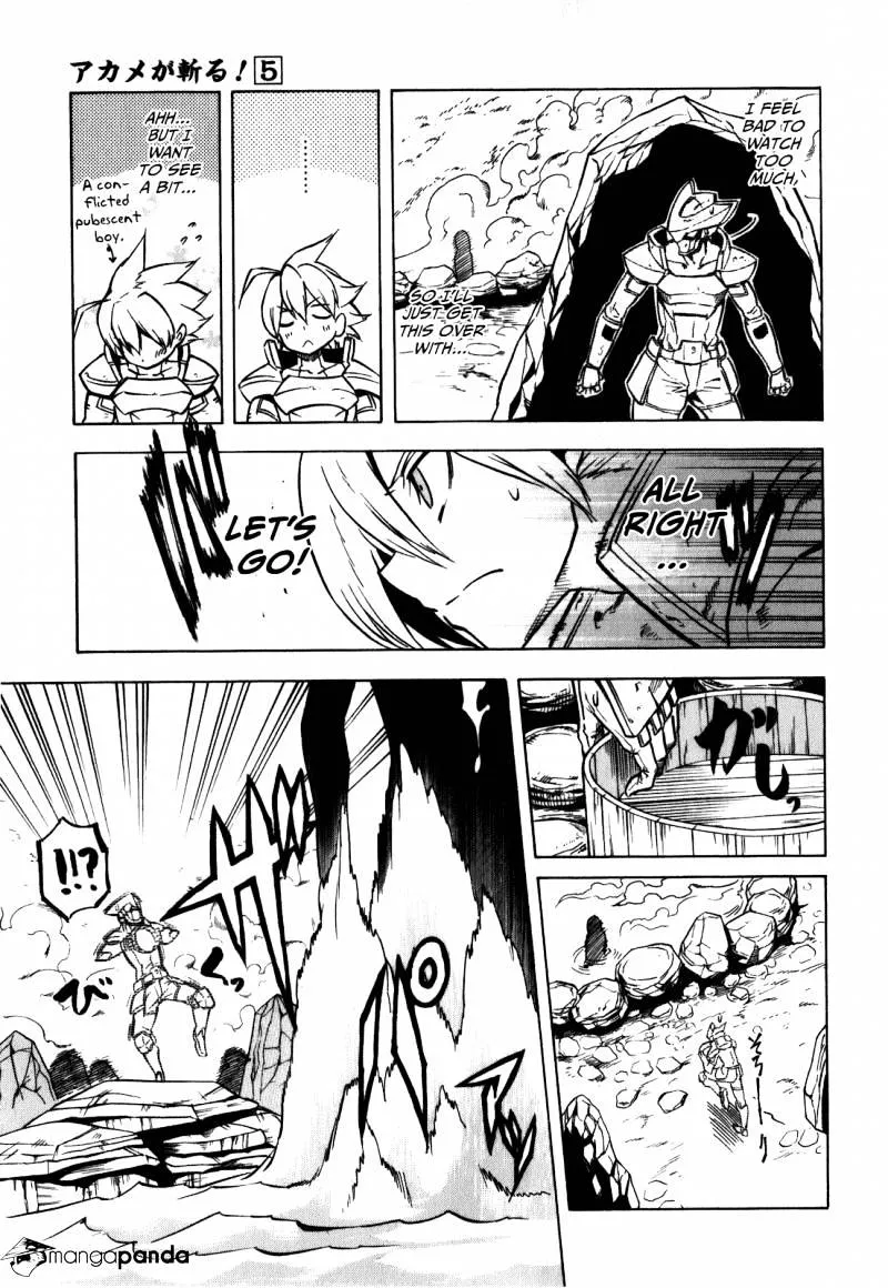 Read Akame Ga Kill! Manga Online