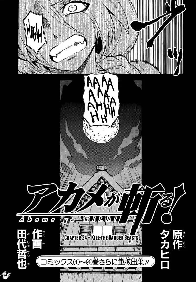 Read Akame Ga Kill! Manga Online