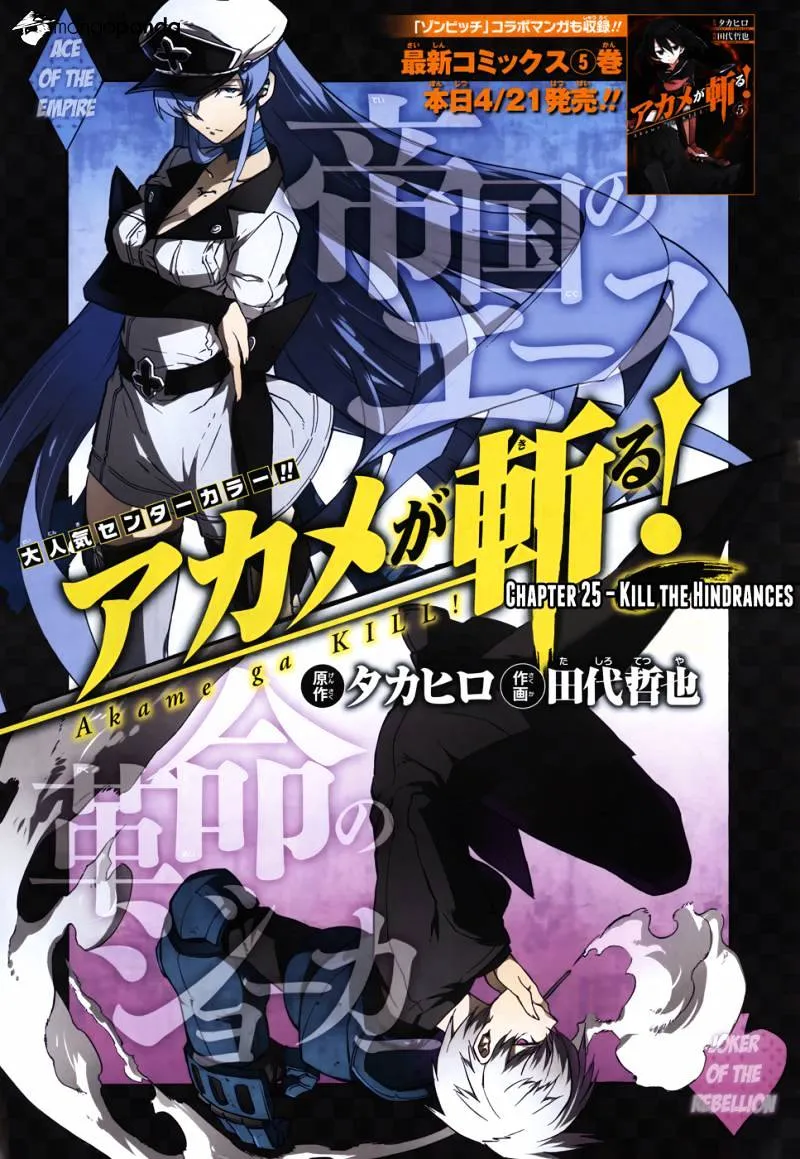 Read Akame Ga Kill! Manga Online