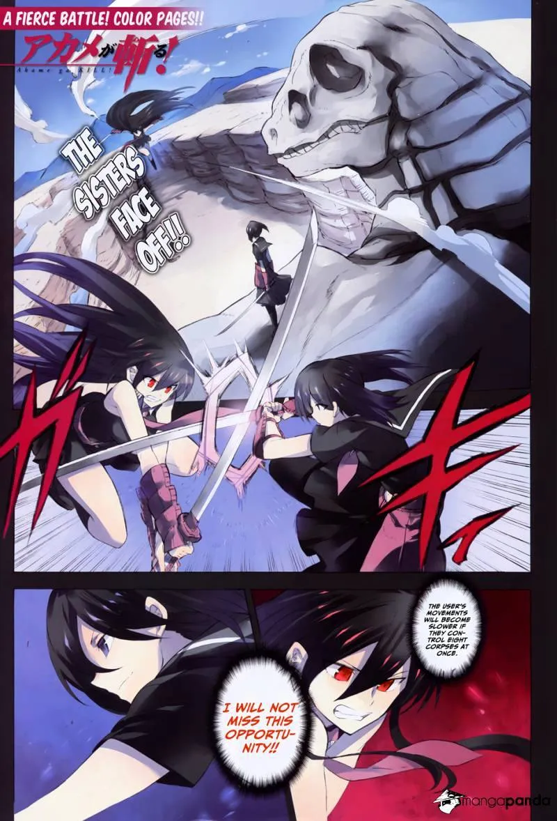 Read Akame Ga Kill! Manga Online