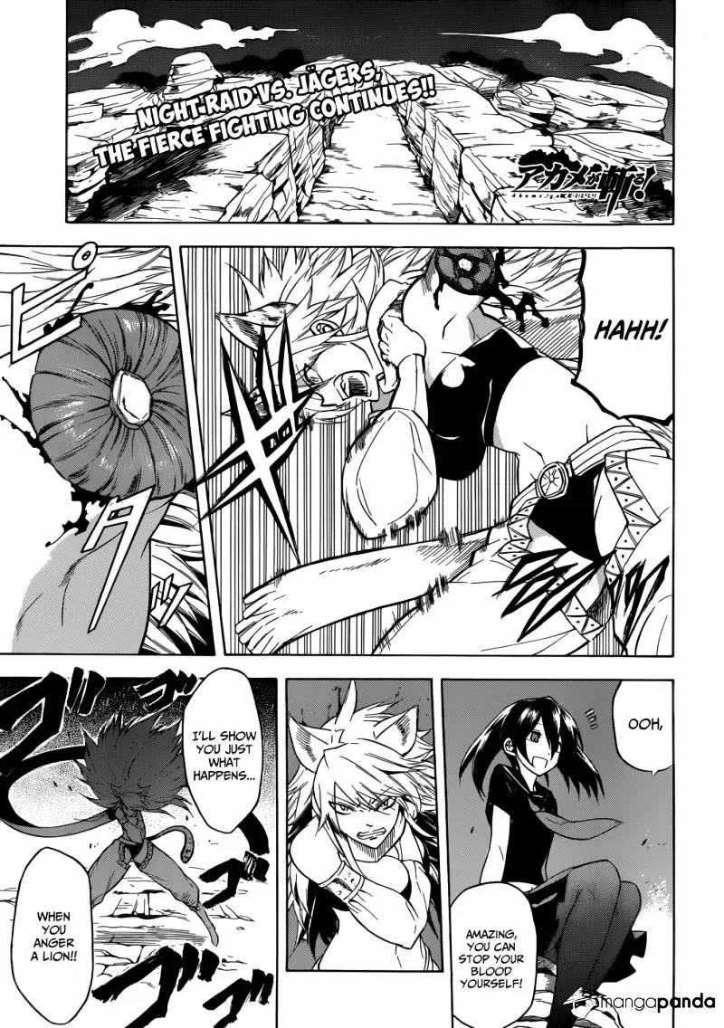 Read Akame Ga Kill! Manga Online