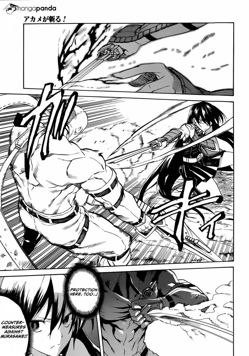Read Akame Ga Kill! Manga Online