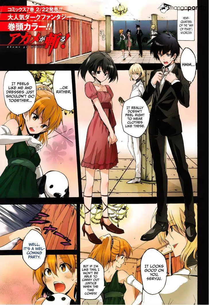 Read Akame Ga Kill! Manga Online