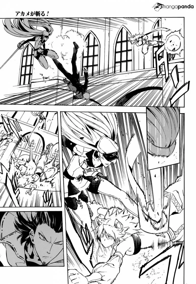 Read Akame Ga Kill! Manga Online