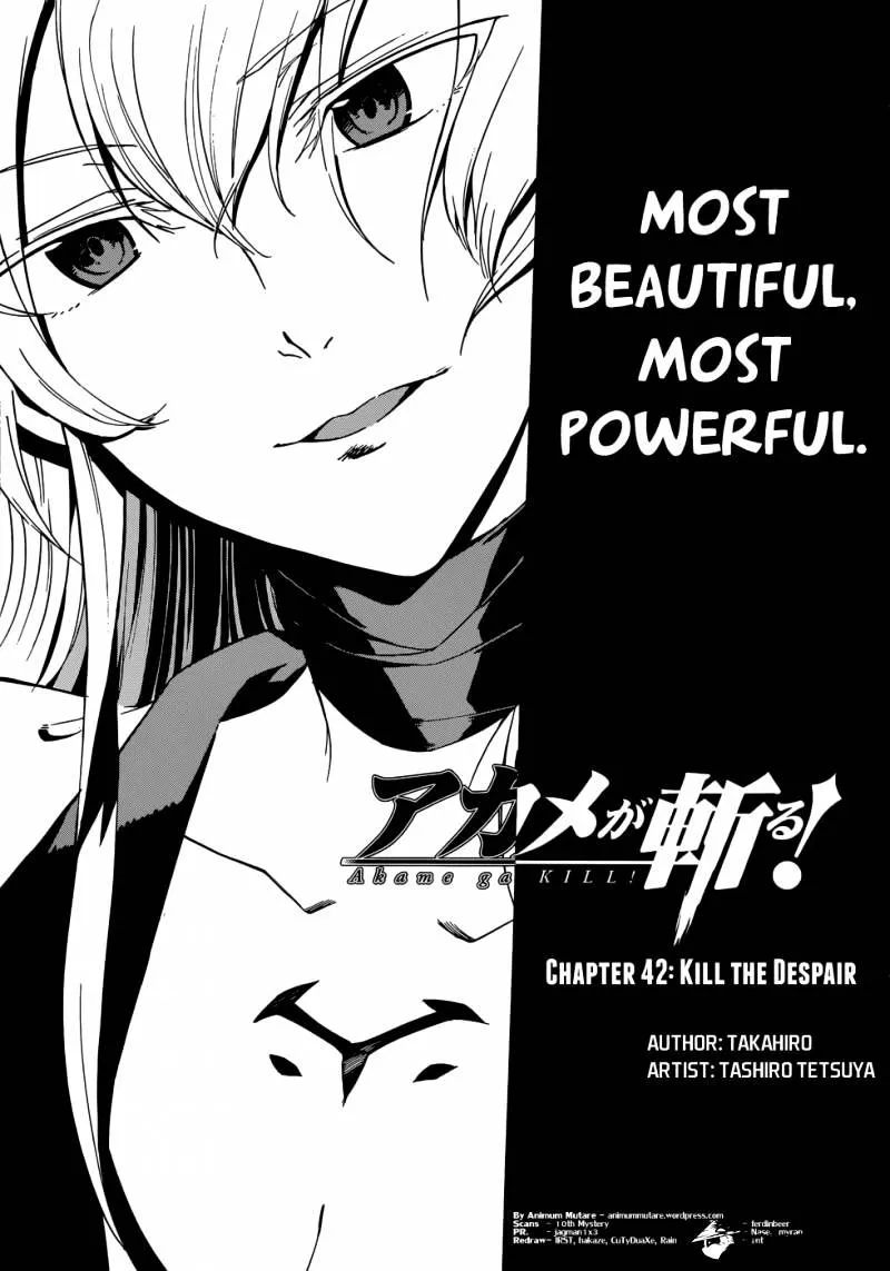 Read Akame Ga Kill! Manga Online