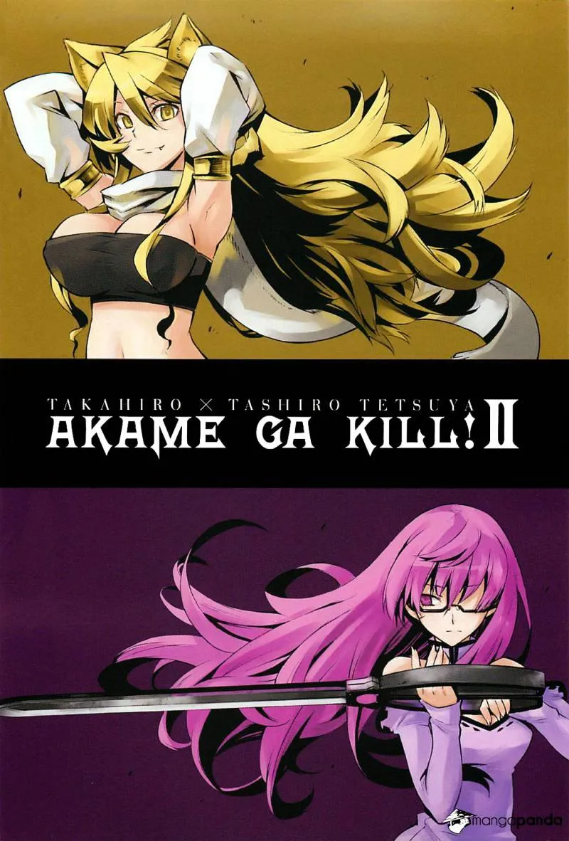 Read Akame Ga Kill! Manga Online