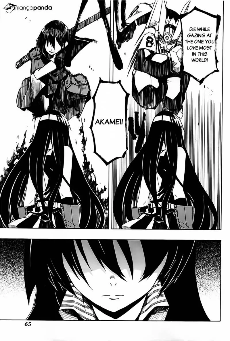Read Akame Ga Kill! Manga Online