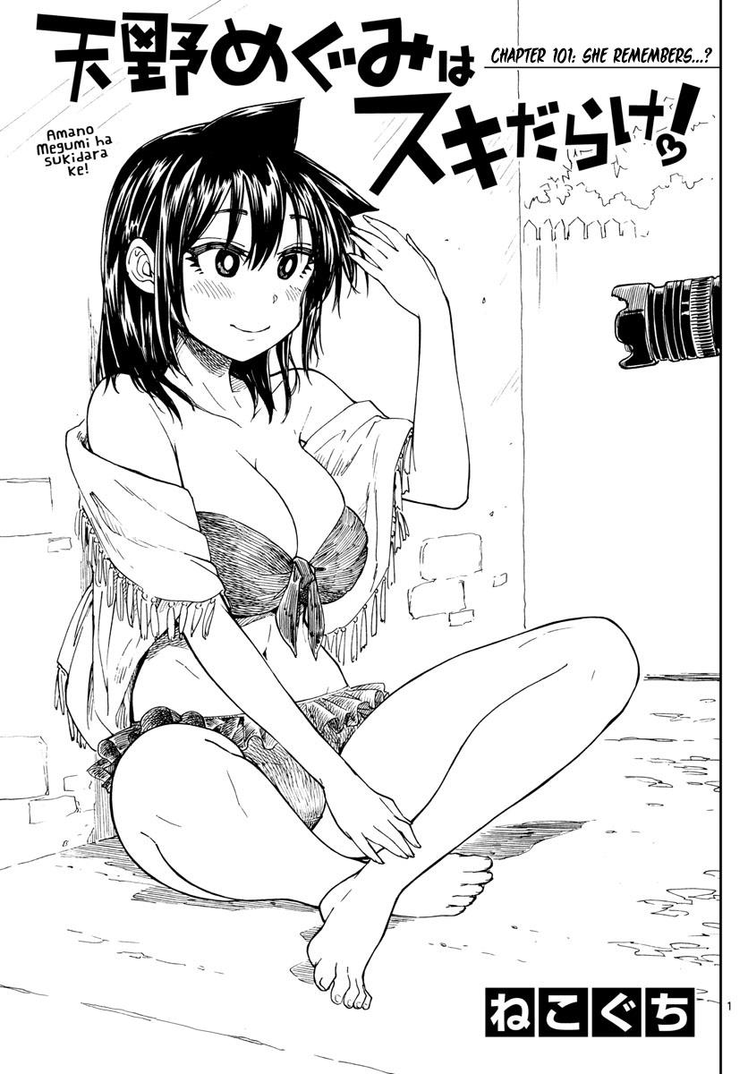 Read Amano Megumi wa Suki Darake! Manga Online