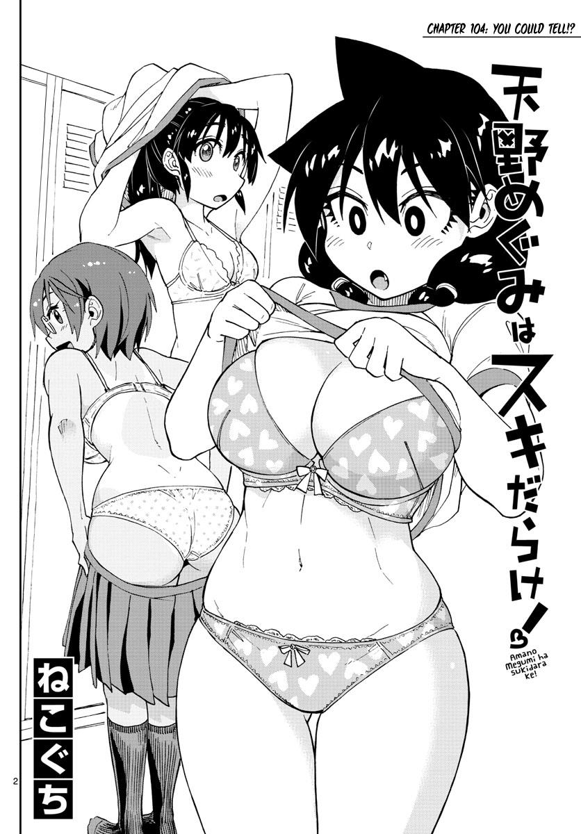 Read Amano Megumi wa Suki Darake! Manga Online