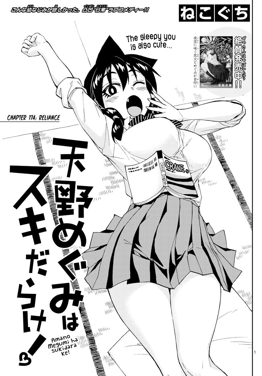 Read Amano Megumi wa Suki Darake! Manga Online