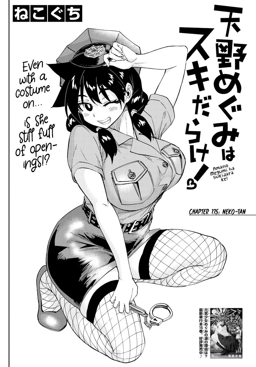 Read Amano Megumi wa Suki Darake! Manga Online