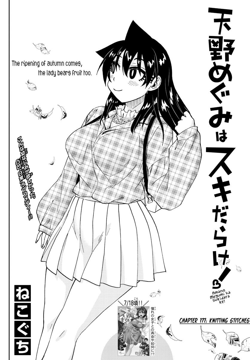 Read Amano Megumi wa Suki Darake! Manga Online