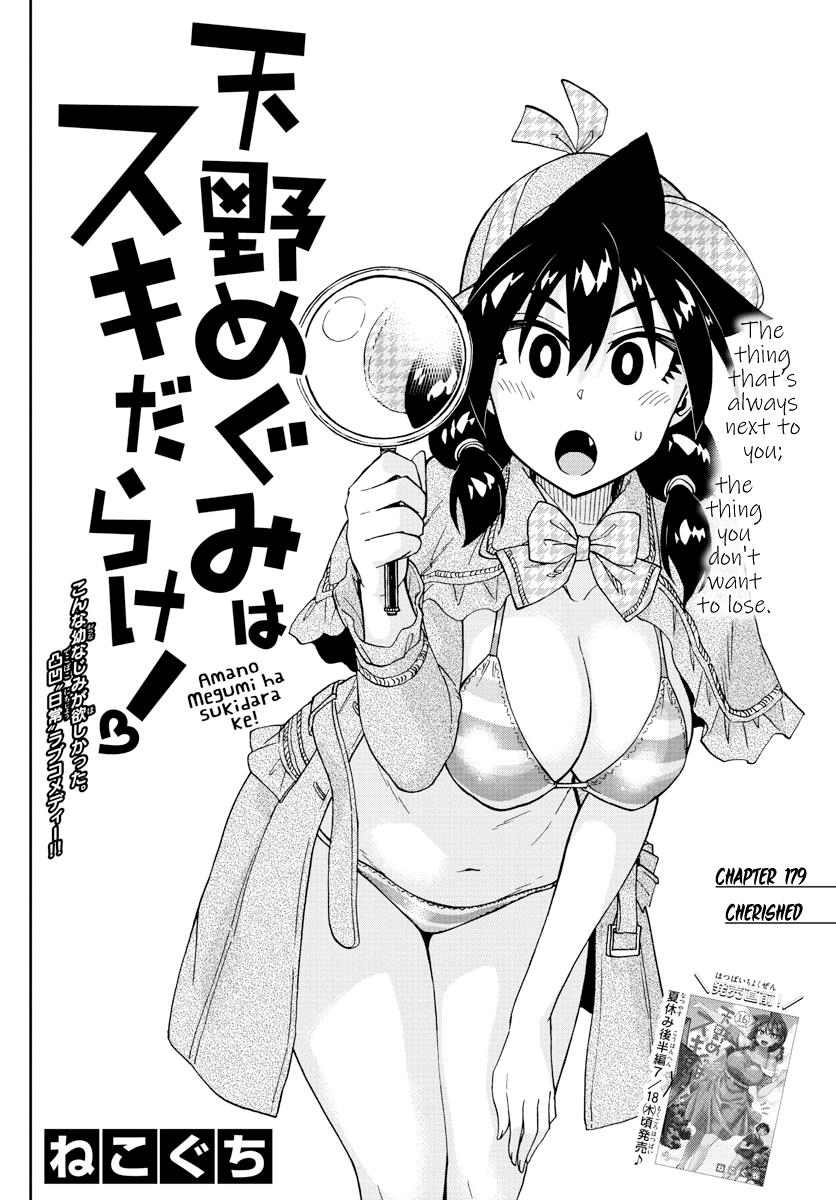 Read Amano Megumi wa Suki Darake! Manga Online