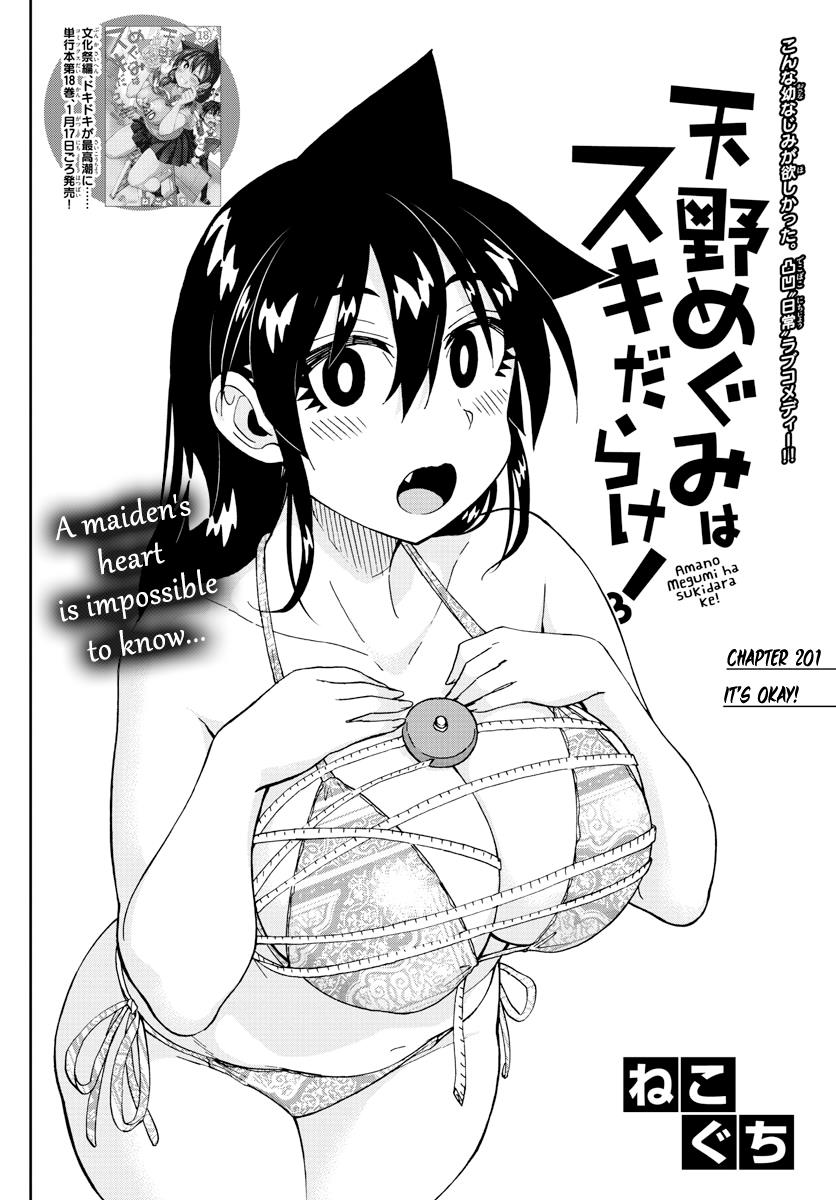 Read Amano Megumi wa Suki Darake! Manga Online
