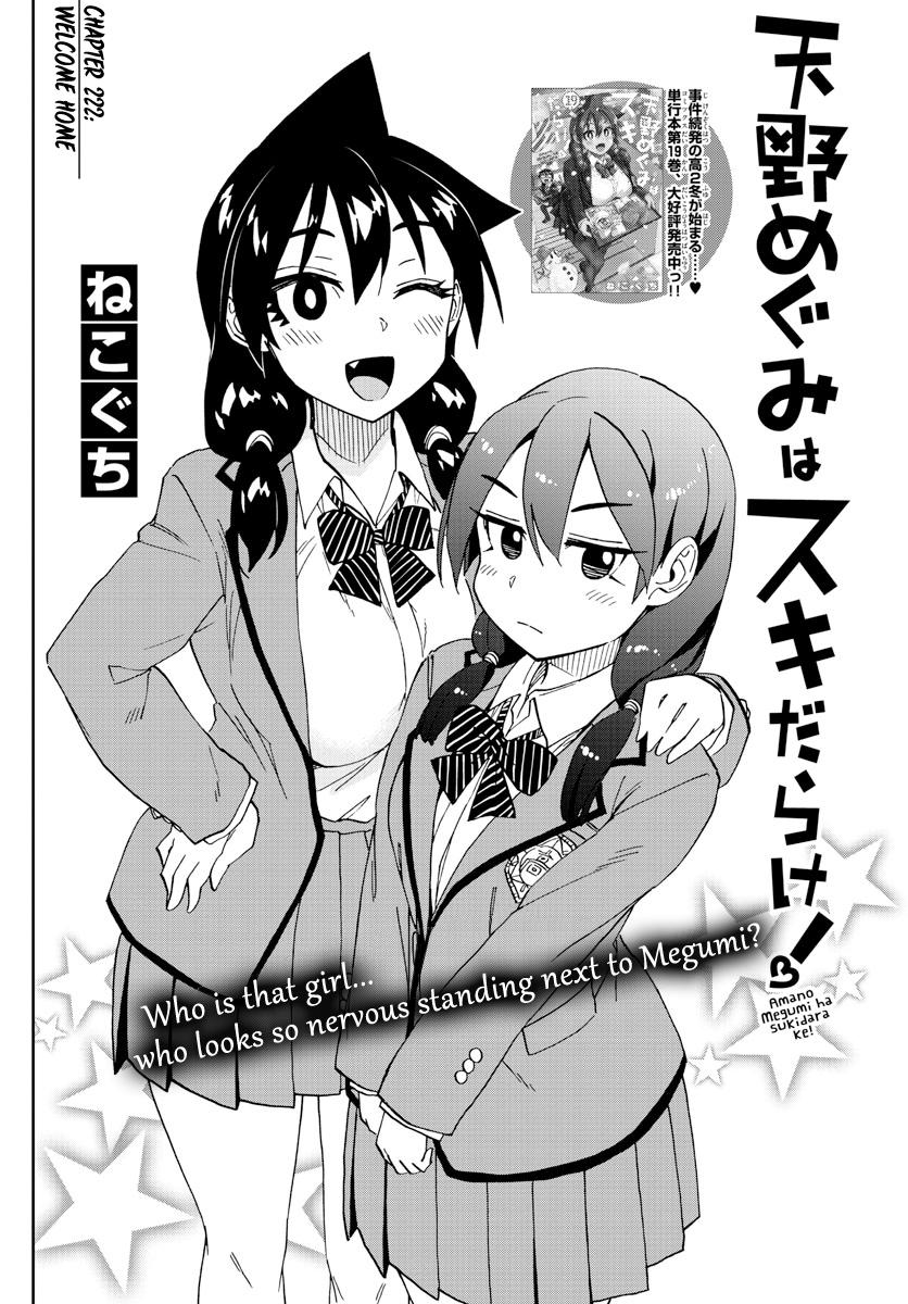 Read Amano Megumi wa Suki Darake! Manga Online