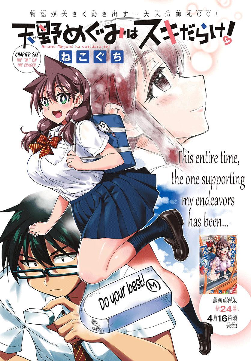 Read Amano Megumi wa Suki Darake! Manga Online