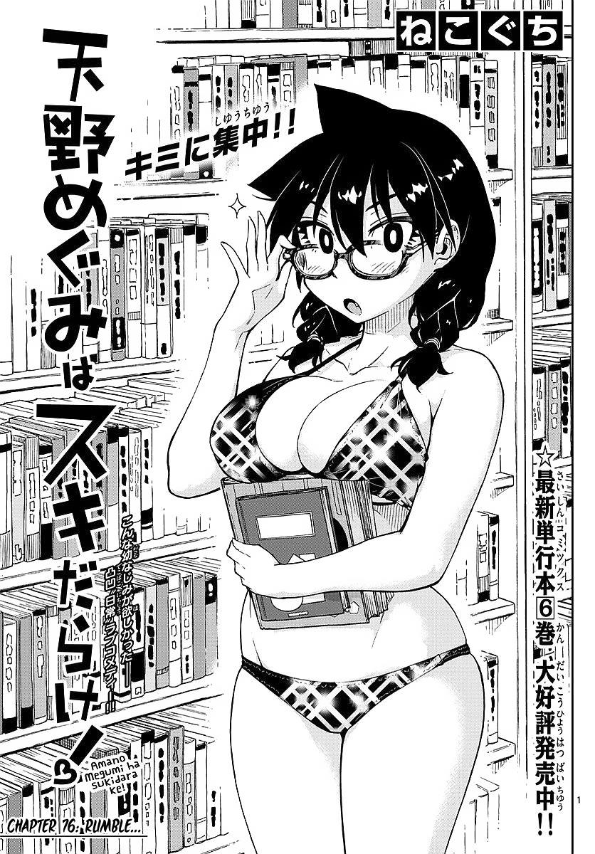 Read Amano Megumi wa Suki Darake! Manga Online