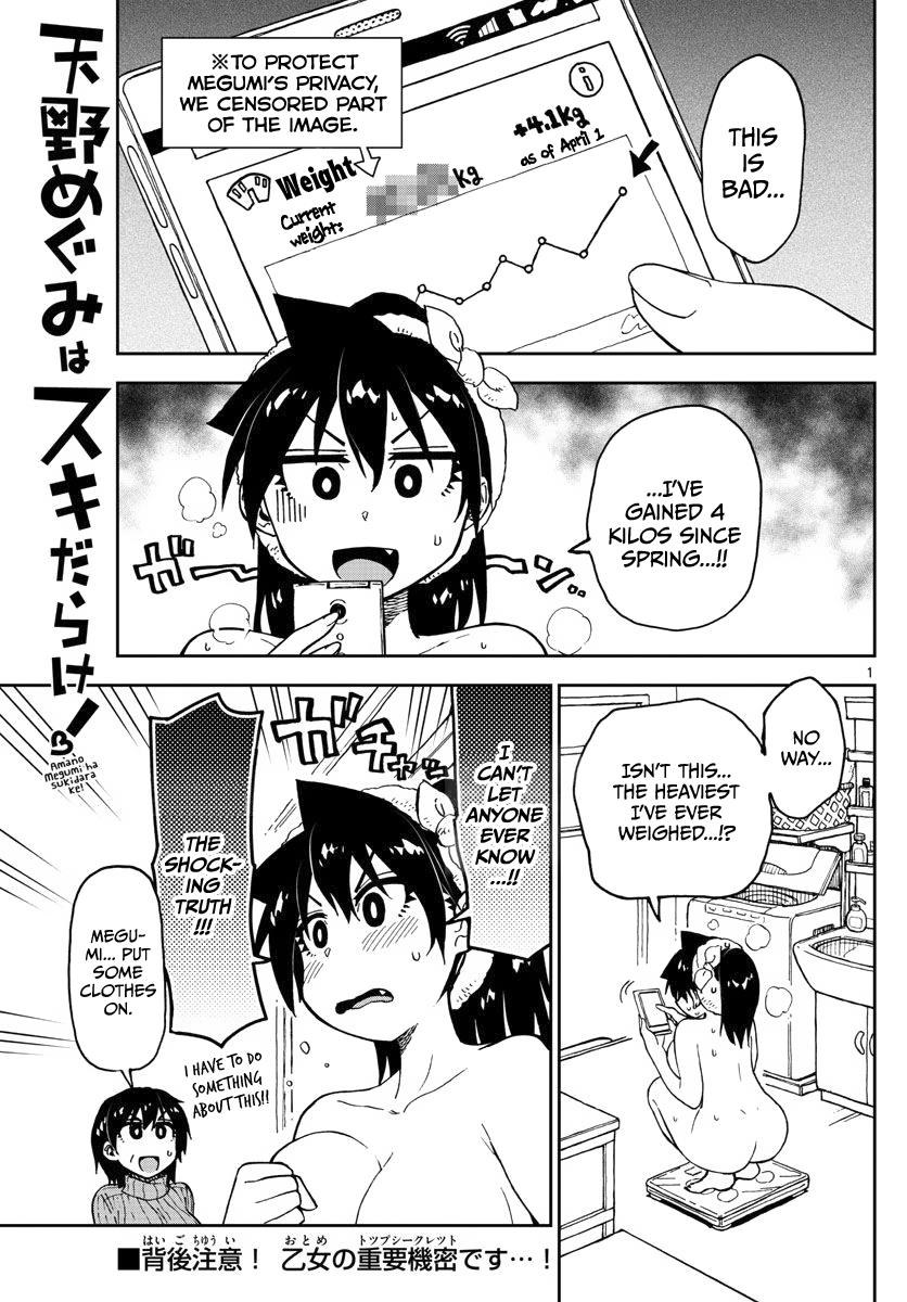 Read Amano Megumi wa Suki Darake! Manga Online